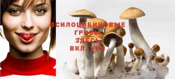 дмт Аркадак