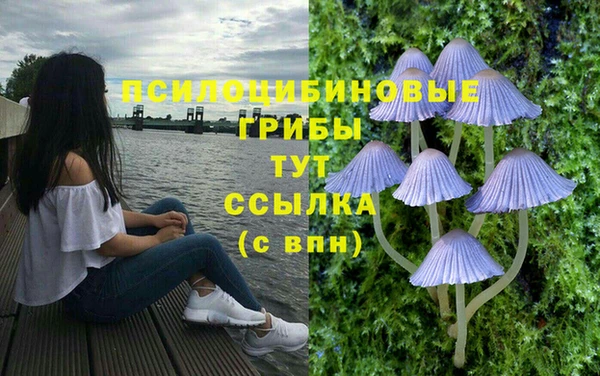 герыч Алзамай