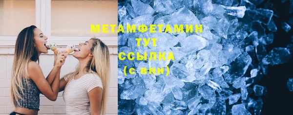 сатива Инта