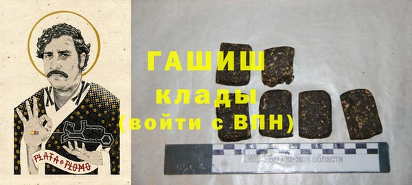 ГАЛЛЮЦИНОГЕННЫЕ ГРИБЫ Инсар