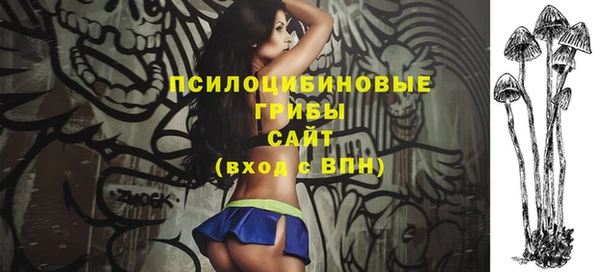 молекула духа Армянск