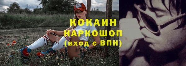 дмт Аркадак