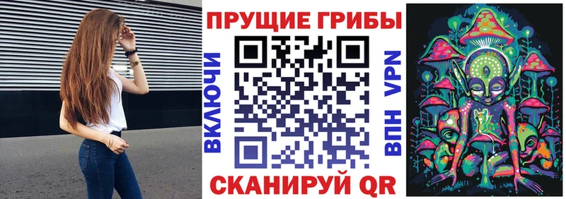 Галлюциногенные грибы ЛСД  нарко площадка наркотические препараты  Алагир 
